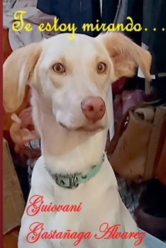 Paperback Te estoy mirando... [Spanish] Book