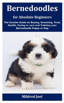 Paperback Bernedoodles for Absolute Beginners: The Concise Guide on Buying, Grooming, Food, Health, Caring or care and Training your Bernedoodle Puppy or Dog Book