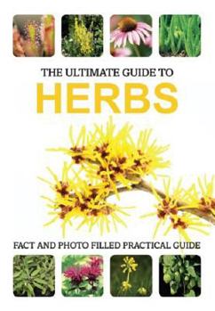 Paperback Herbs (Ultimate Guides) Book