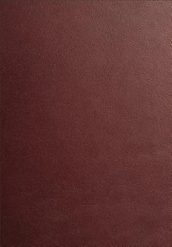 Baker's Wedding Handbook: Resources for Pastors