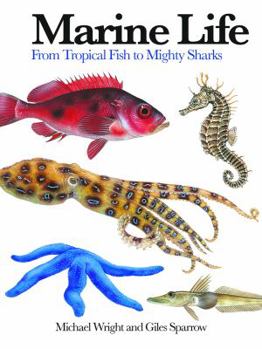 Paperback Marine Life: From Tropical Fish to Mighty Sharks Book
