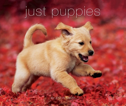 Hardcover Just Puppies (Deluxe Edition) Book