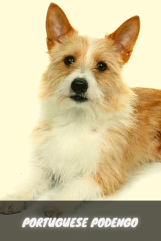 Pоrtuguеsе Pоdеngо: Complete breed guide