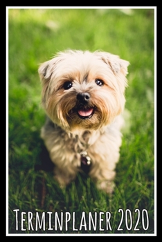 Terminplaner 2020: Jahresplaner von September 2019 bis Dezember 2020 mit Hund - Planer mit 174 Seiten in weiß im Format A5 mit glänzendem Soft Cover. (German Edition)