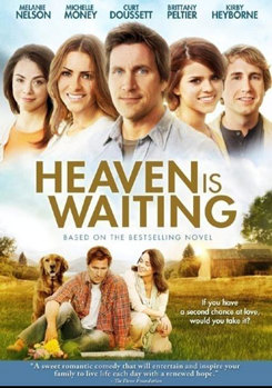 DVD Heaven is Waiting Book