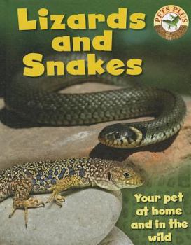 Hardcover Lizards and Snakes Book