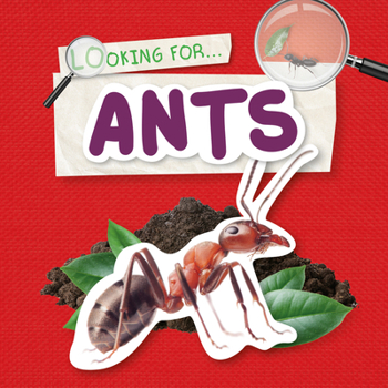 Hardcover Ants Book