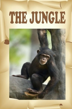 Paperback The Jungle: Visit the animals that live in a jungle. Book