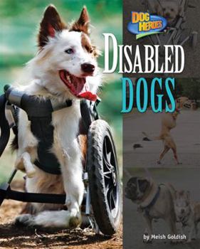 Disabled Dogs - Book  of the Dog Heroes