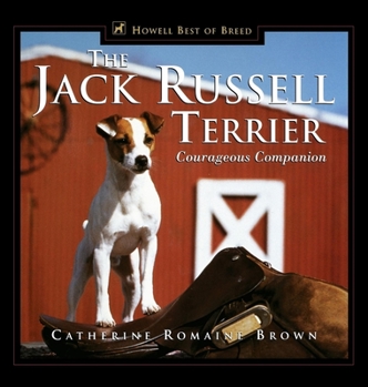 Hardcover The Jack Russell Terrier: Courageous Companion Book