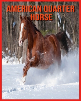 Paperback American Quarter Horse: Amazing Facts & Pictures Book