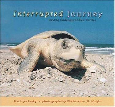 Hardcover Interrupted Journey: Saving Endangered Sea Turtles Book
