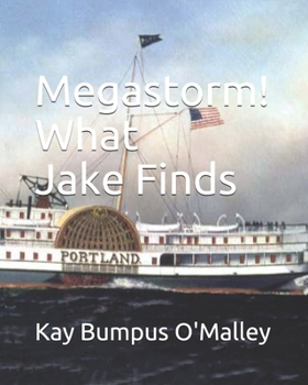 Paperback Megastorm! What Jake Stanley Finds Book
