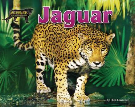 Jaguar - Book  of the Apex Predators of the Amazon Rain Forest