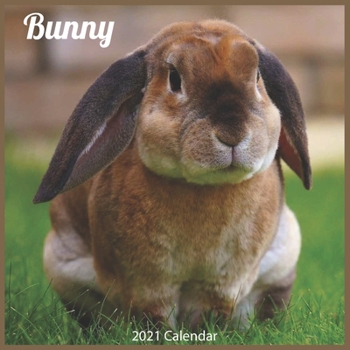 Bunny 2021 Calendar: Official Bunnies Wall Calendar 2021