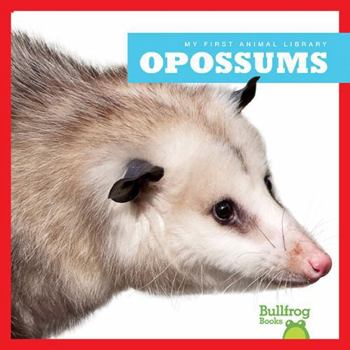 Opossums - Book  of the My First Animal Library