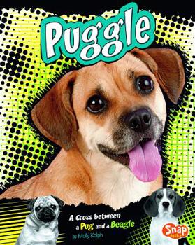 Hardcover Puggle: A Cross Between a Pug and a Beagle Book