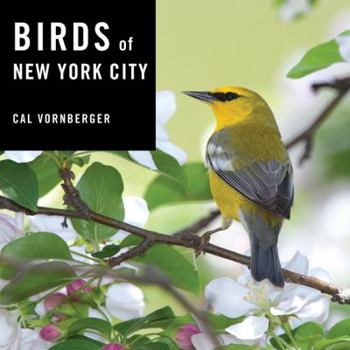 Hardcover Birds of New York City Book