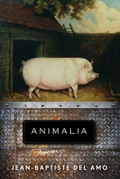Hardcover Animalia Book