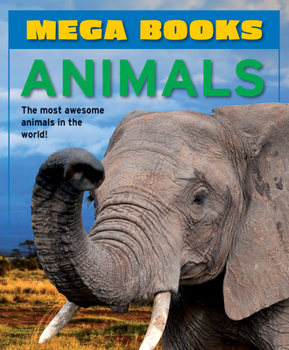 Paperback Animals Book