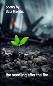 Paperback The seedling after the fire Book