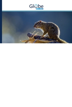 Red Teaming, Game Theory, Panpsychism and Quantal Perception