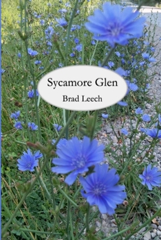 Paperback Sycamore Glen Book