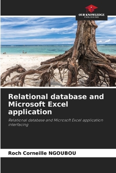 Paperback Relational database and Microsoft Excel application Book