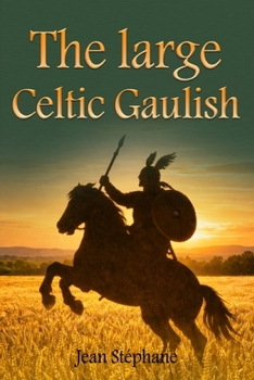 Paperback The Large Celtic Gaulish Book