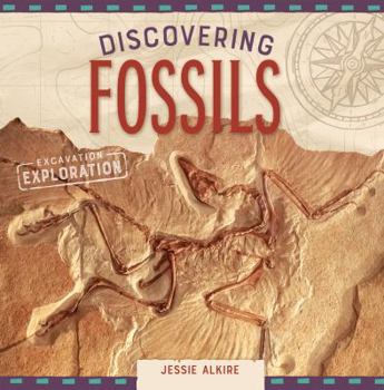 Library Binding Discovering Fossils Book