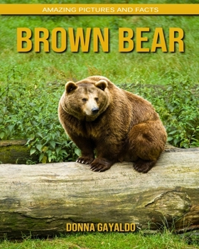 Brown Bear: Amazing Pictures and Facts