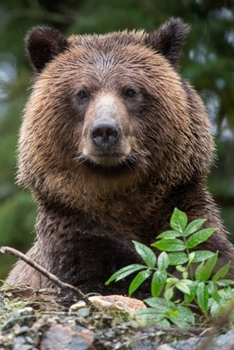 Bear Lovers 2020 Weekly Monthly Planner: With Agenda & Appointments Calendar Schedule, To Do List, Notes & Gratitude | Grizzy Bear Gifts For Men & Women - Nature & Wildlife conservation