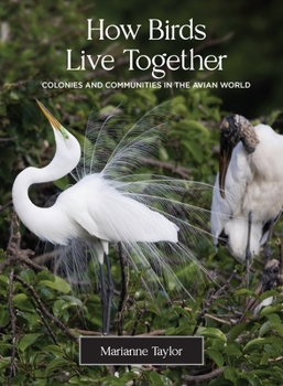 Hardcover How Birds Live Together: Colonies and Communities in the Avian World Book