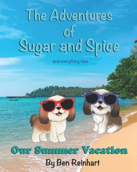 Paperback Our Summer Vacation Book