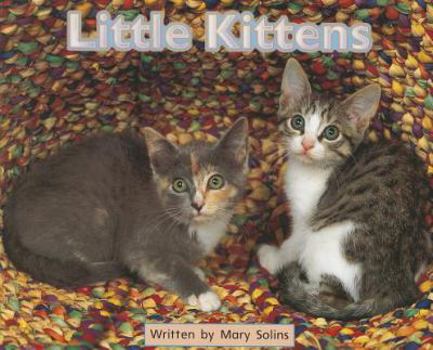 Paperback Ready Readers, Stage Zero, Book 31, Little Kittens, Single Copy Book