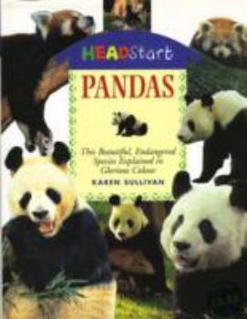 Hardcover Pandas (Headstart) Book