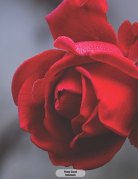 Photo-Stock Notizbuch: Rote Rose im Nebel Notizbuch 150 Seiten liniert - A4 Format - mattes Softcover