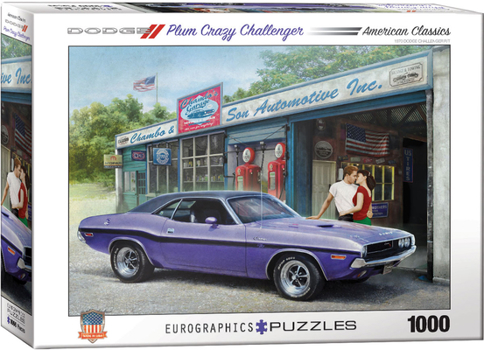 Misc. Plum Crazy Challenger Puzzle Book