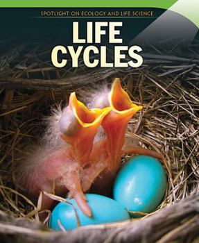 Paperback Life Cycles Book