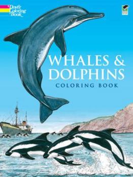 Paperback Whales and Dolphins Coloring Book