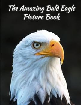 Paperback The Amazing Bald Eagle Picture Book 8.5 X 11 Book