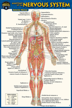 Wall Chart Anatomy of the Nervous System (Pocket-Sized Edition -4x6 Inches) Book