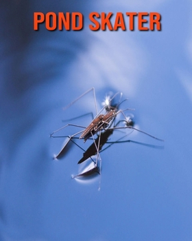 Paperback Pond Skater: Amazing Facts about Pond Skater Book