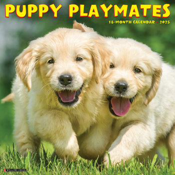 Calendar Puppy Playmates 2025 12 X 12 Wall Calendar Book
