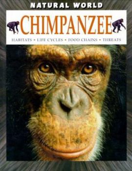 Hardcover Chimpanzee Book