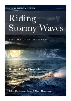 Paperback Riding Stormy Waves: Victory over the Maras Book