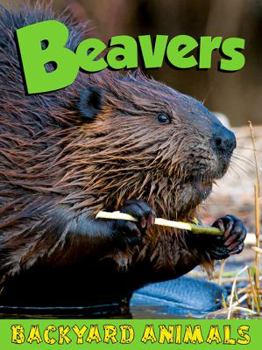 Beavers - Book  of the Backyard Animals