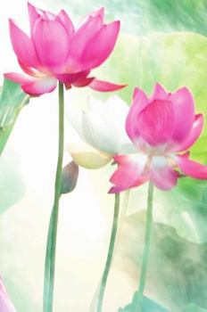 Gratitude Journal: Six Month