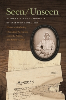 Seen/Unseen: Hidden Lives in a Community of Enslaved Georgians - Book  of the New Perspectives on the Civil War Era
