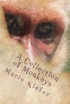 Paperback A Collection of Monkeys Book